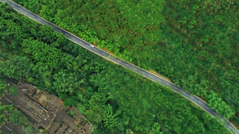 1715272749782403.jpg 640 (1).webp.jpg