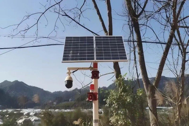 1732097832111387.jpg 640.jpg