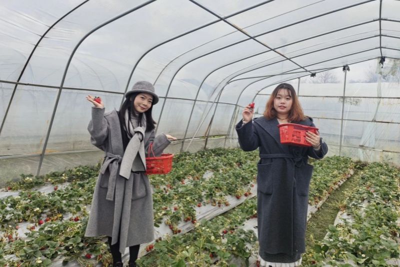 婦女節(jié)活動(dòng) (5).jpg